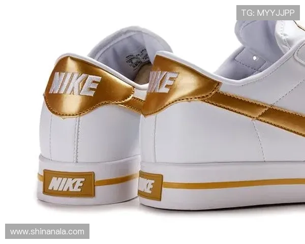 白金体育注册会员登录指南，轻松完成注册并顺利登录平台