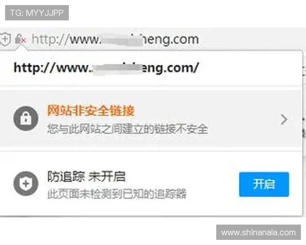 皇冠官网地址在网络安全中的重要性与常见风险分析 皇冠官网地址在网络安全中的重要性与常见风险分析
