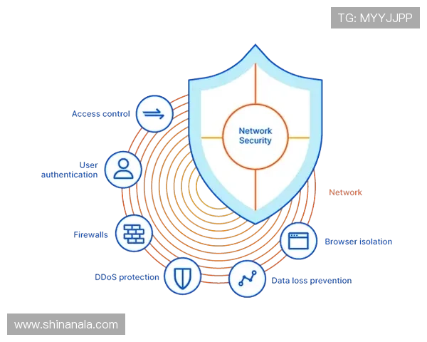 皇家网站登录的安全性与保护措施解析