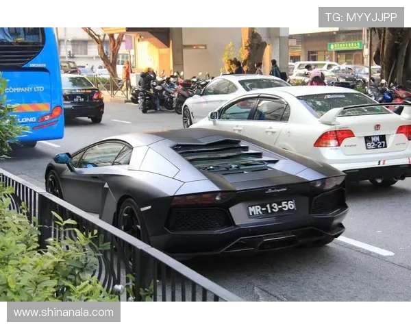 内港角子机娱乐场专业服务团队，确保每位玩家都能获得最佳体验