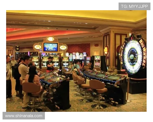 澳门十大赌厅是哪十大，揭示澳门最豪华、最受玩家喜爱的十大赌厅详细名单