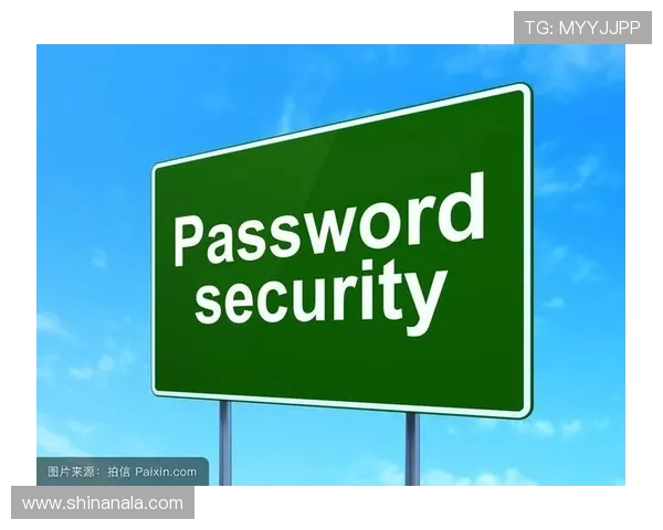 澳门彩旗舰网站安全可靠，保障用户资金与信息安全，打造放心的在线博彩体验